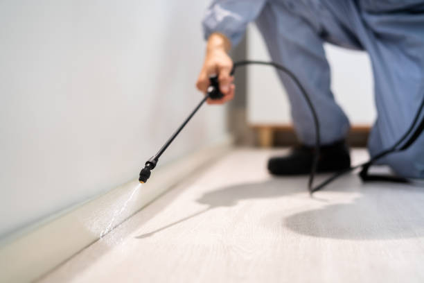 Licensed Rodent Control service in Bethpage, NY - Nex Pest Control