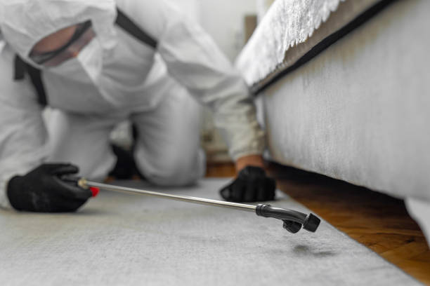Professional Rodent Control technician working in Bethpage, NY