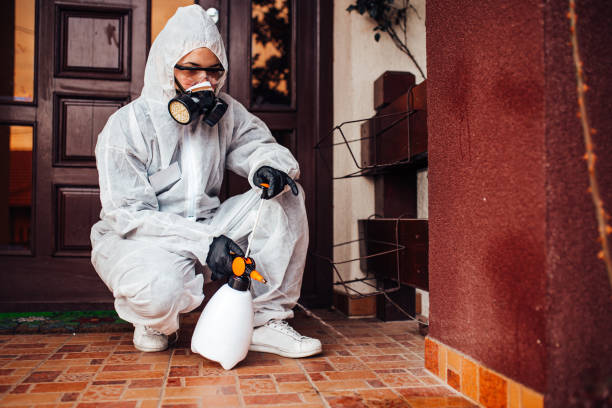 Reliable Rodent Control contractor in Bethpage, NY by Nex Pest Control
