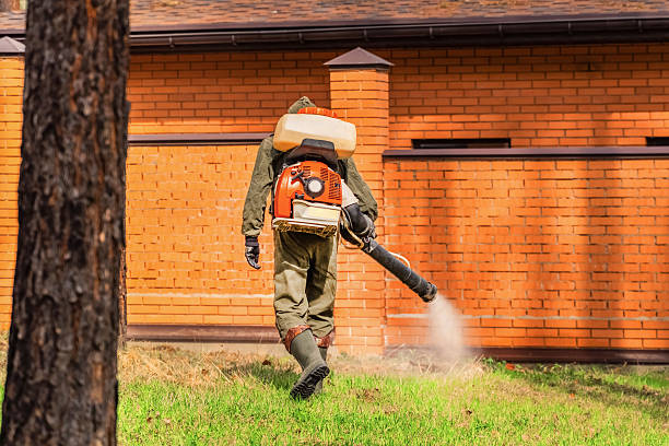 Trusted Cockroach Control service in Bethpage, NY - Nex Pest Control